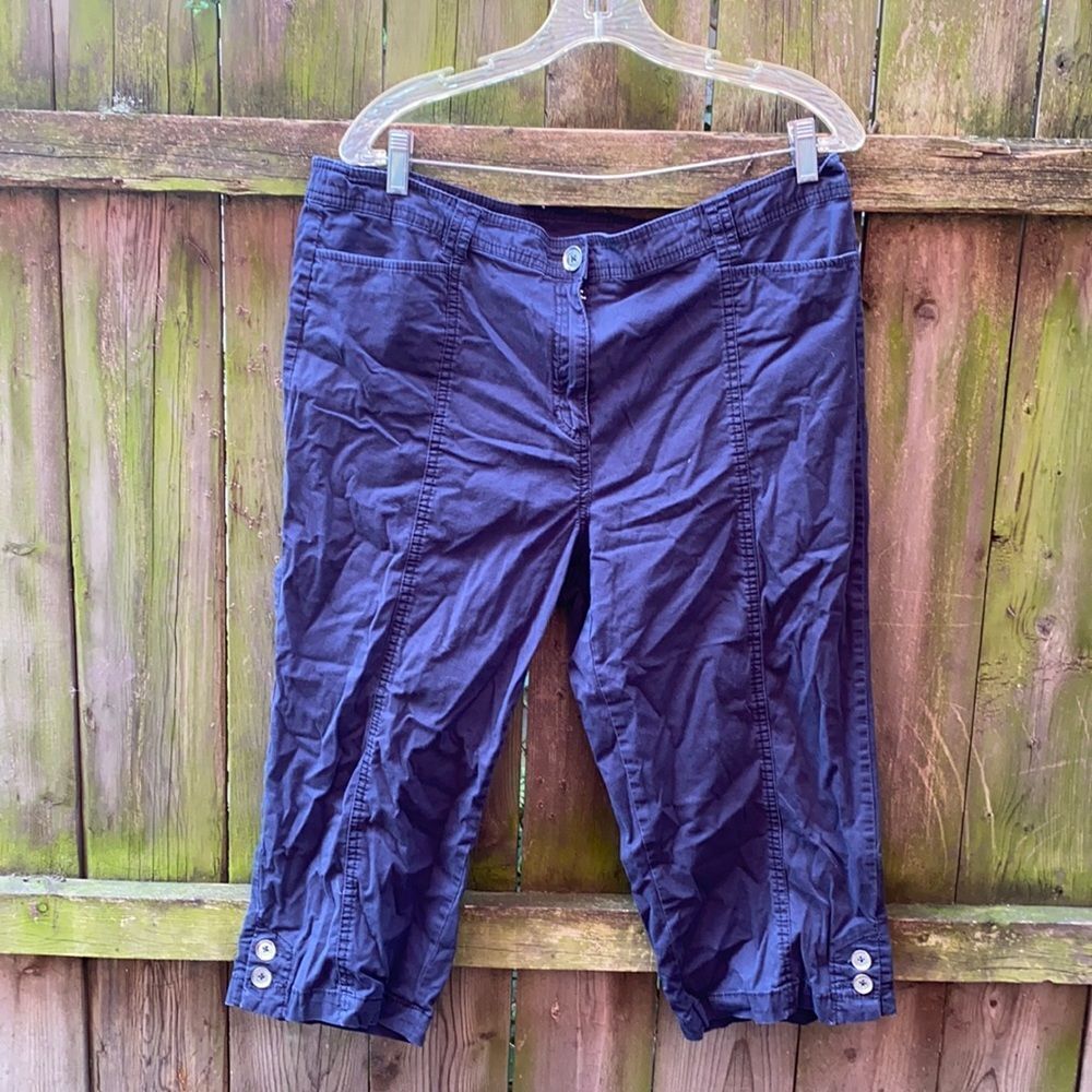 JM Collection capris sz. 16 petite